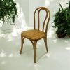 Elm Bentwood Wooden Chair