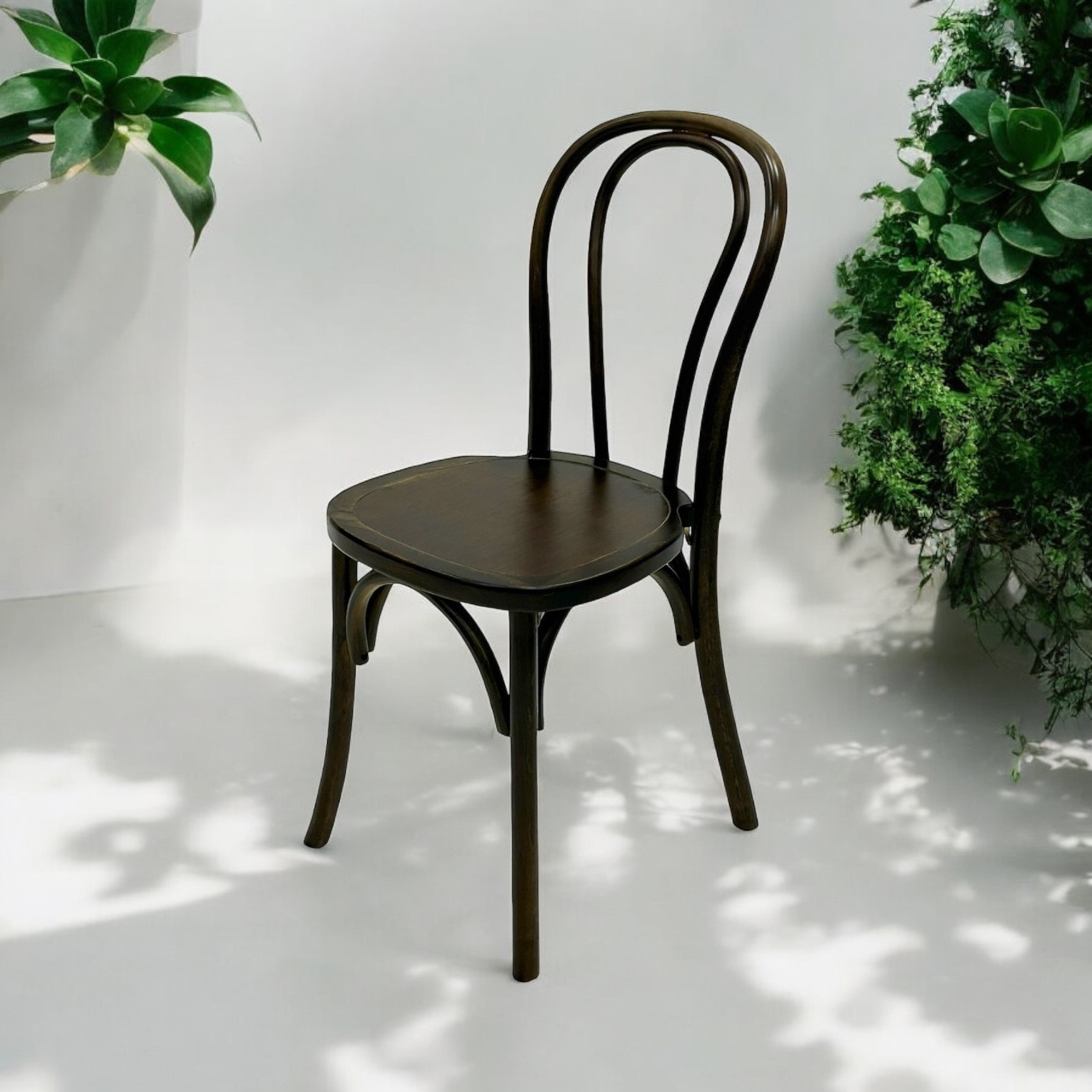 Bentwood chairs cheap sale