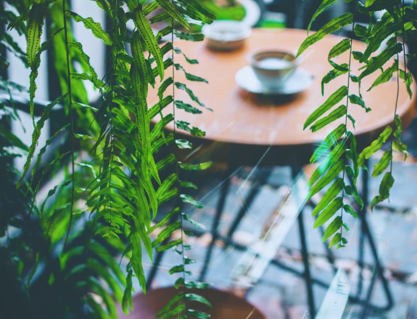 Perfect Polywood Tables and Chairs for Garden Centre Cafes - BE Furniture Sales